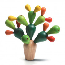 Cactus Mikado