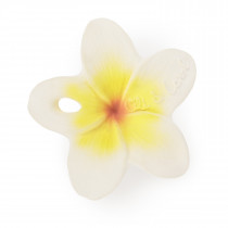 Jouet de dentition Chewy, Hawaï The Flower