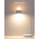 Lampe veilleuse LED dual Chat - vert Aqua