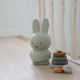 Tirelire Miffy Warm - Eucalyptus