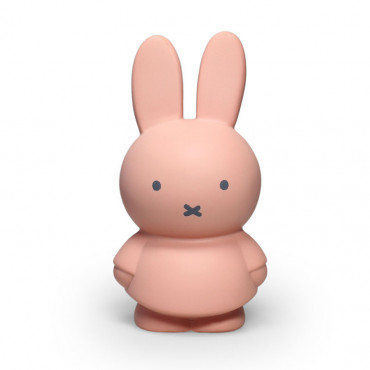 Tirelire Miffy Warm - Poudre
