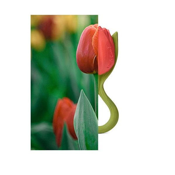 Jouet de dentition Theo la tulipe