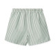 Short de bain duke - Stripe Peppermint