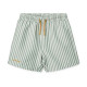 Short de bain duke - Stripe Peppermint