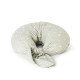 Coussin d'allaitement à longs pans - Sailboats
