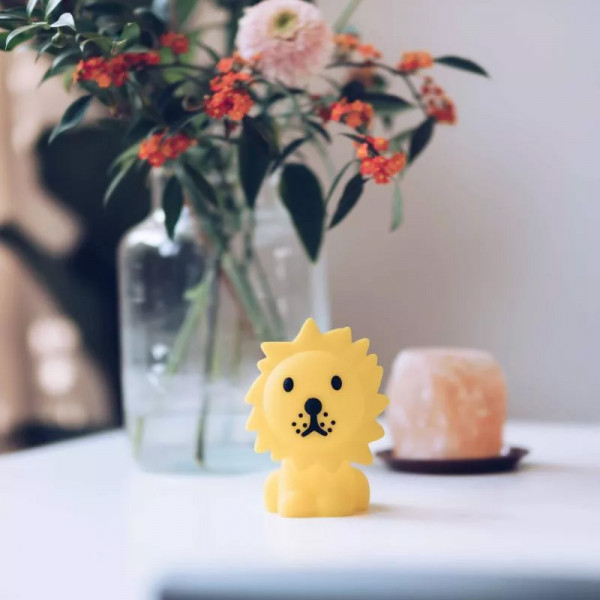 Mini veilleuse - Lion