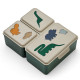 Lunchbox compartimentée Driss - Dinosaurs Mist