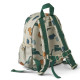 Sac à dos Andreas - Dinosaurs mist