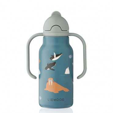 Gourde isotherme 250 ml Kimmie - Arctic sea ocean view