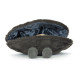 Peluche Amuseable - Moule