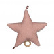 Etoile musicale Pink - Harry Potter