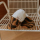 Chaussons bébé - Tigre