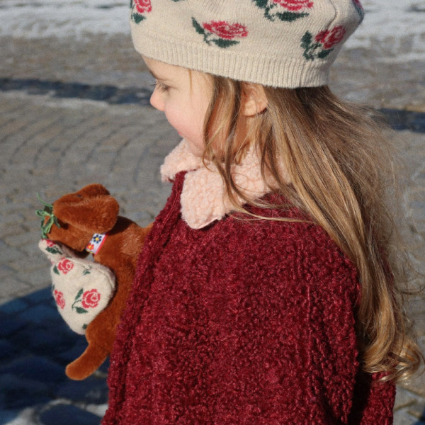 Bébé teckel et sa niche