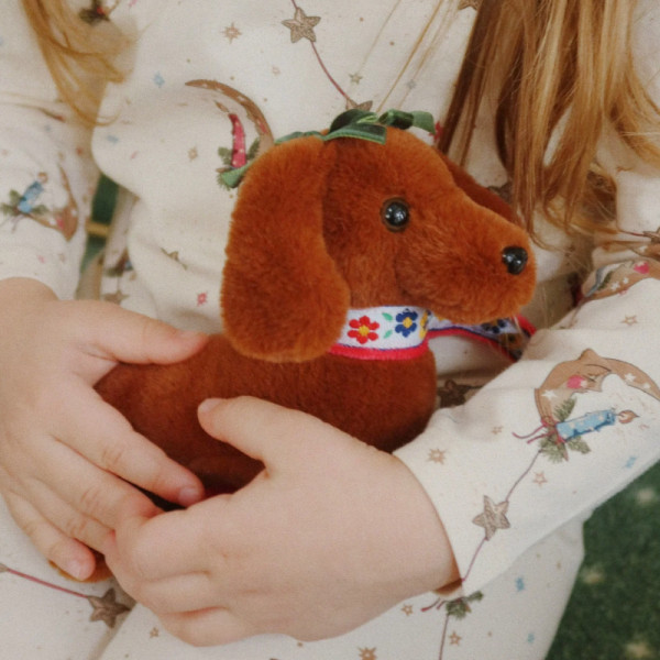 Bébé teckel et sa niche