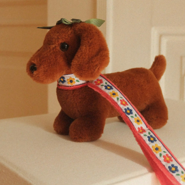 Bébé teckel et sa niche