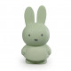 Tirelire Miffy Warm - Eucalyptus
