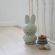 Tirelire Miffy Warm - Eucalyptus