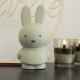Tirelire Miffy Warm - Eucalyptus
