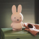 Tirelire Miffy Warm - Poudre