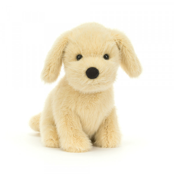 Peluche chiot golden retriever Golden puppy