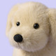 Peluche chiot golden retriever Golden puppy
