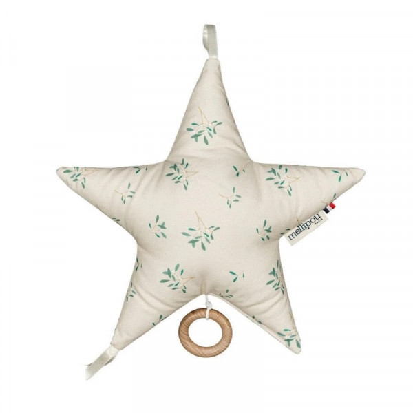 Etoile musicale Léonard - The Doors