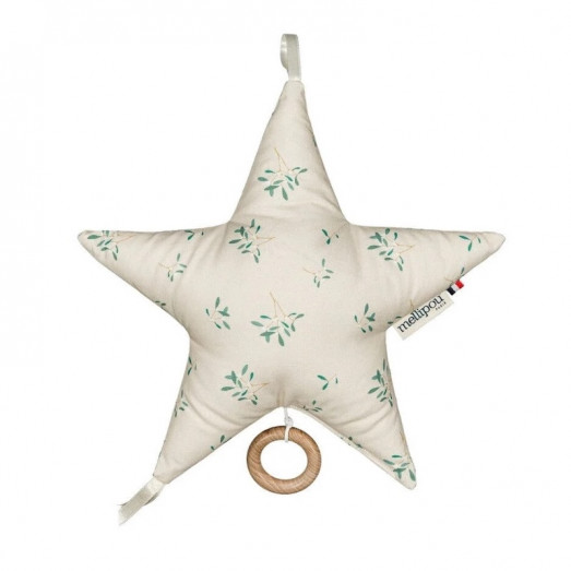 Etoile musicale Léonard - The Doors