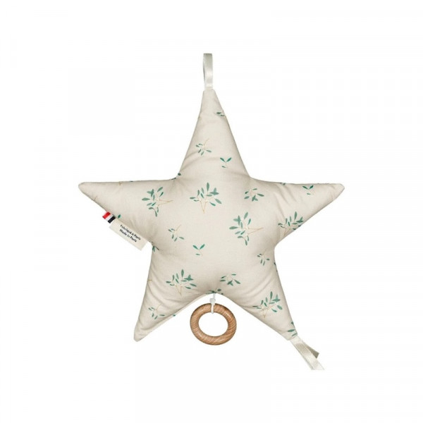 Etoile musicale Léonard - The Doors