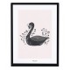 Affiche sous cadre noir 30x40 cm - Cygne noir