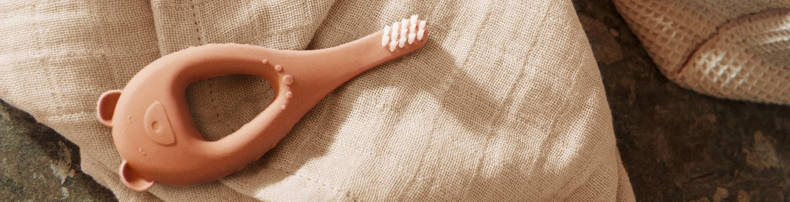 Brosses &agrave; dents